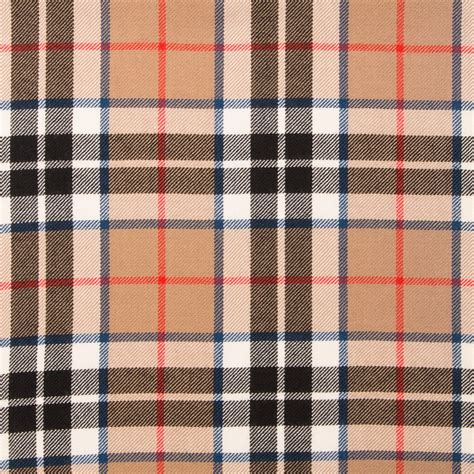 thomson camel tartan burberry|thomson camel tartan pictures.